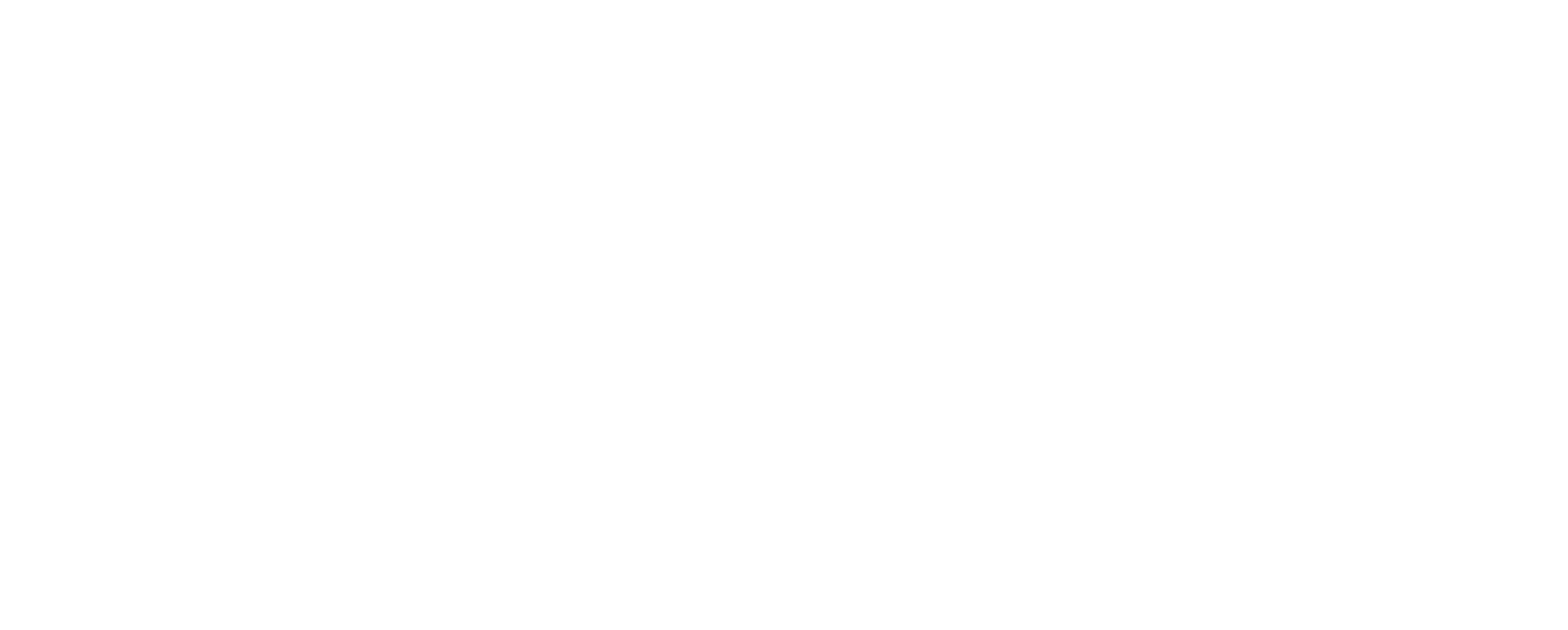 LOGO-NewMeProject_wh_tr